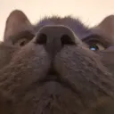 bazza