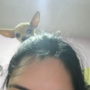 avatar αηη 𓃹☾