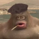 m0nkee