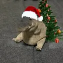 Аватар cheburek_x