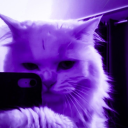 avatar ➹𝓟𝓼𝔂𝓬𝓸ツ