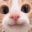 avatar KairiXMO ➡ 2ND SONG SOON?