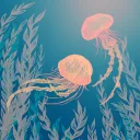 jellyfishvibez