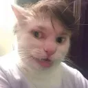 lynxgeeknyc