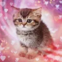 haileymeow