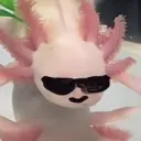 nosoybob