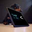 xsk1llz