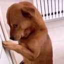 avatar thisisnotkidi