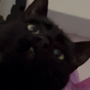 avatar juliette_xx3_