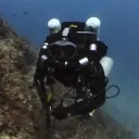 anthonyamar