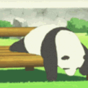 avatar 𝕻𝕽𝕴𝕸𝕰 :