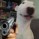 walter5093
