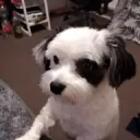 blurrdahn