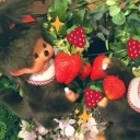 bunimochii