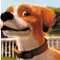 dogmander