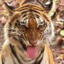 avatar ★ M0RTUARY——-«