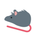 rat facts