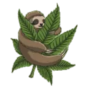 bongsession420