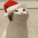 Аватар 1_mitya