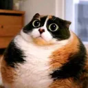 aizerbek_play avatar