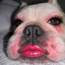 avatar Millo 🇫🇷/🇨🇦