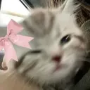 fuwarins