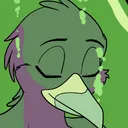 homleypigeon