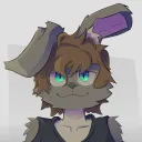 hawk_sparr0w