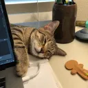lattehearts