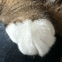 もふもふなでこのアイコン