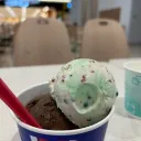 kanimiso_46