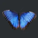 azure_2606