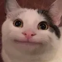 peanut3003