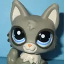 .toixc