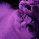 avatar 𝓡𝓾𝓫𝔂˚ʚ♡ɞ˚