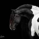 avatar 𝓡𝓾𝓫𝔂˚ʚ♡ɞ˚