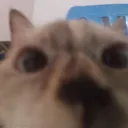 tak_696