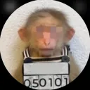 leftykbruh