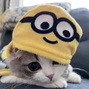 thatsjeremy avatar