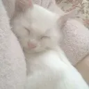 .liyah._.