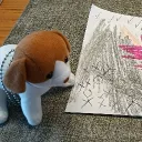 zowritesstuff