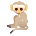 robinbonnin