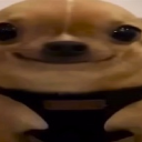 Bdotsmoo