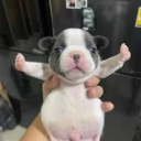 58b91800d2ea5286692971291ef3b85f