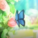 8bluebutterfly8