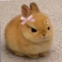thenonsenseone