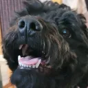 _huba_
