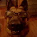 dogor1423