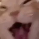 _kamax__