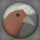 birdekek